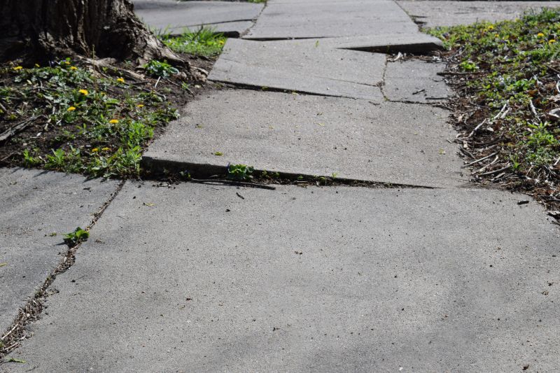 Sidewalk Hazard Removal