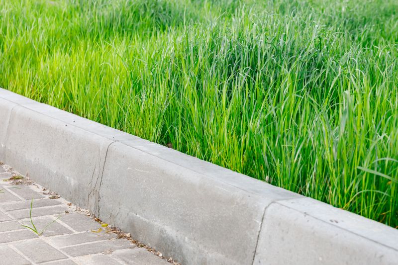 Concrete Curbing Repair in Des Moines, IA