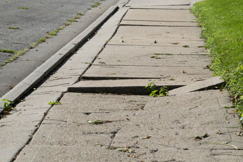 Damaged Sidewalk Sections